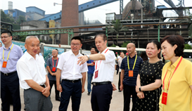 省决咨委主任陈光志一行及在乐十三届天下和省人大代表到亚洲必赢钒钛调研项目建设